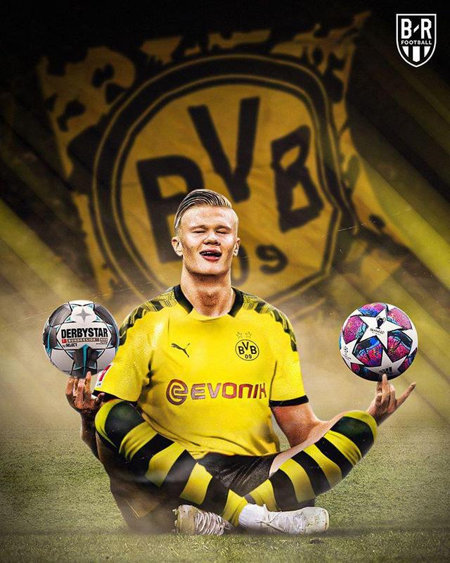 奎因的团队精神培养策略（奎因的团队精神养成之道）